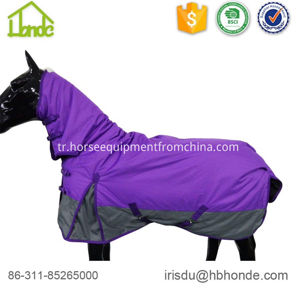 mor at halı purple horse rug